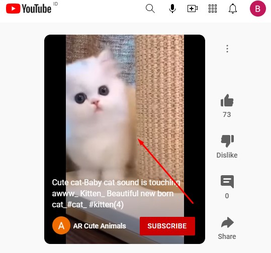 buka youtube shorts