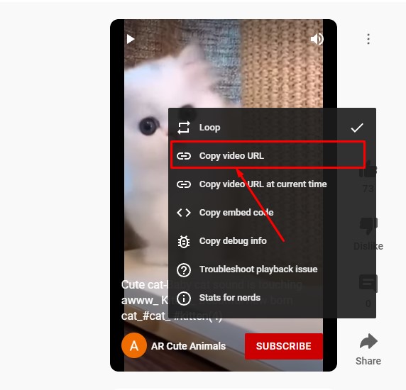 copy video url