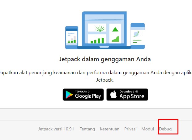 Cara Buat Plugin Jetpack Ringan Di Wordpress 5 debug jetpack