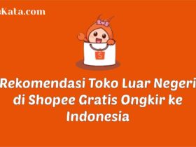 Rekomendasi toko luar negeri di shopee gratis ongkir ke indonesia