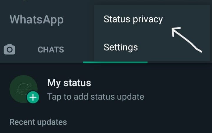 Rahasia Cara Menyembunyikan Status WA dari Teman/Pasangan 7 hide story wa melalui pengaturan status whatsapp
