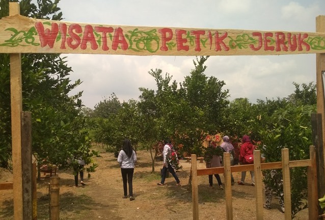 5 Rekomendasi Agrowisata di Blitar yang Pas untuk Liburan Akhir Tahun