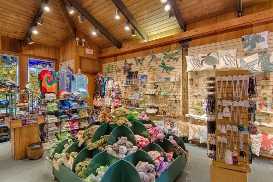 Gumbo Limbo Gift Shop Picture of Gumbo Limbo Nature Center Boca Raton Tripadvisor