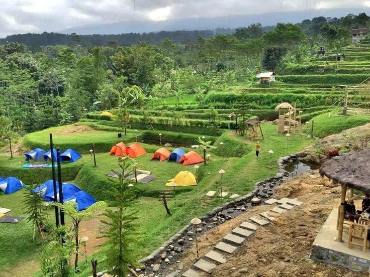 Mau Ngecamp Bareng Keluarga Camp Area Umbul Bengkok Bisa Jadi Solusinya