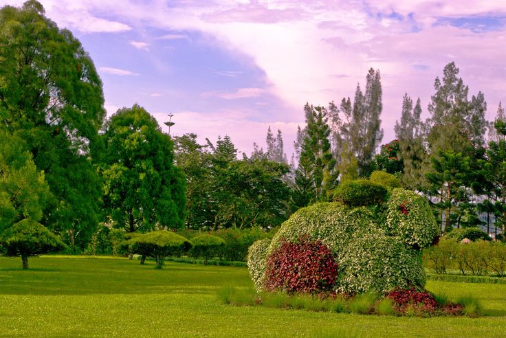 Taman Bunga Nusantara Flower Garden Cipanas West Java