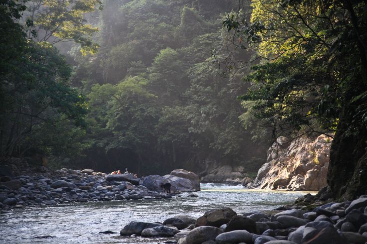 The Bare Necessities Gunung Leuser National Park