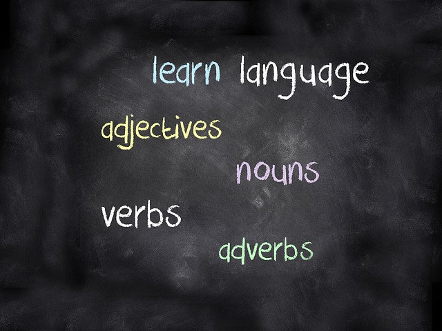 Sumber: pixabay.com/BiljaST. Pentingnya Belajar Bahasa Inggris untuk Kehidupan Sehari-hari.