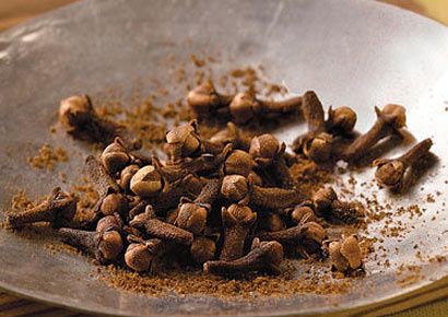 usir kecoa mengusir kecoa mengusir kecoa dengan bahan alami usir kecoa dengan bahan alami di dapur mencegah kecoa datang ke rumah