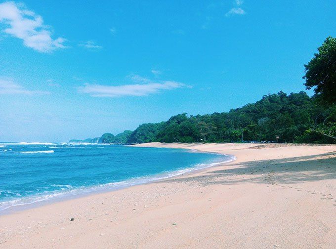 Pantai Ngliyep Malang Mitos Harga Tiket Masuk Rute Lokasi