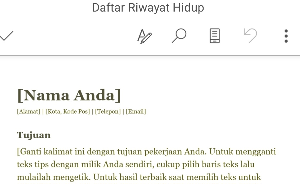 Templet Riwayat Hidup Word