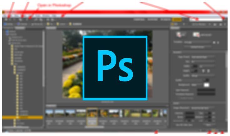 Aplikasi edit foto agar tidak pecah - Adobe Photoshop Express